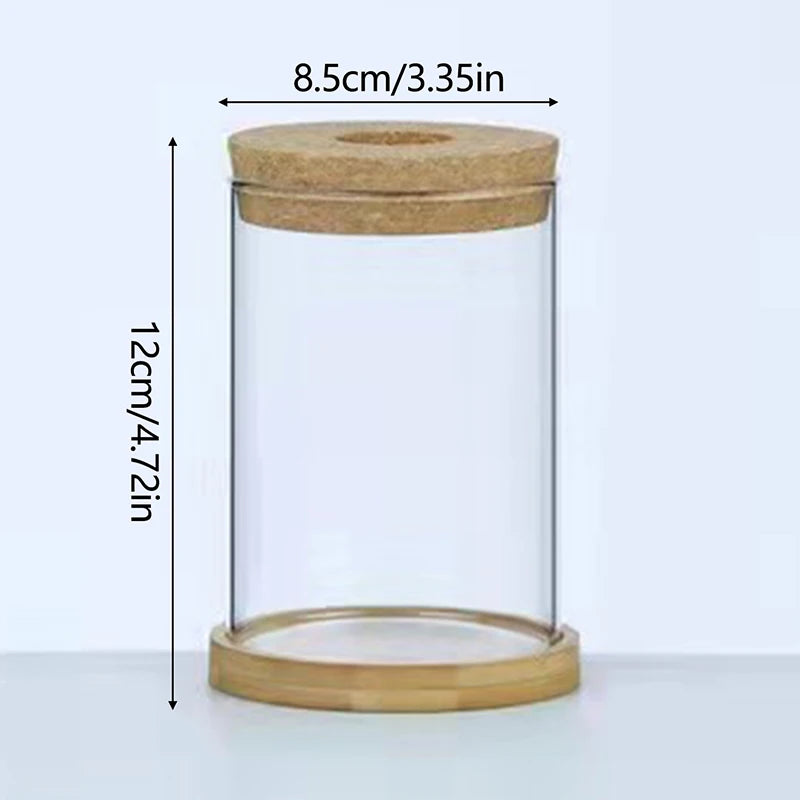 Vaso Hidropônico de Vidro para Decoração