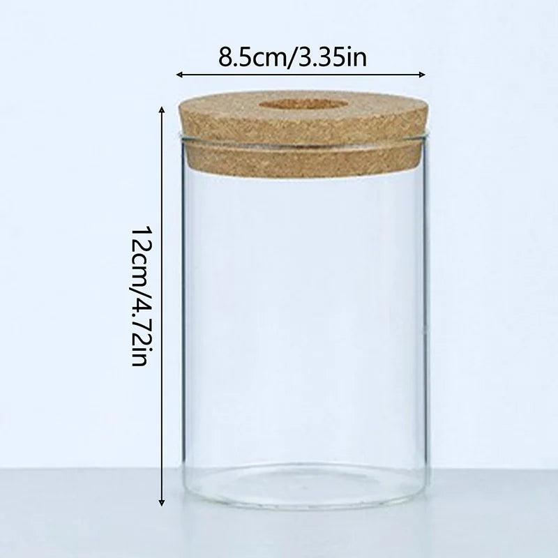 Vaso Hidropônico de Vidro para Decoração