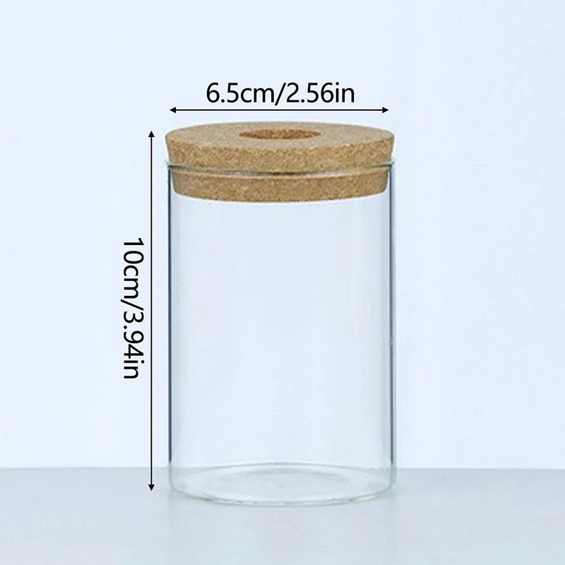 Vaso Hidropônico de Vidro para Decoração