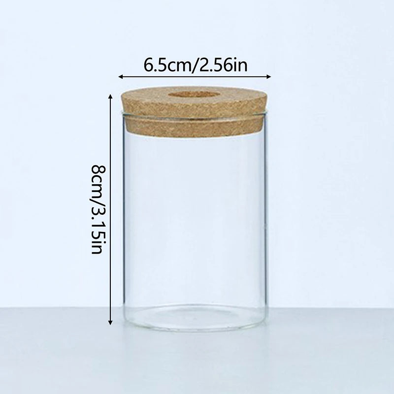 Vaso Hidropônico de Vidro para Decoração