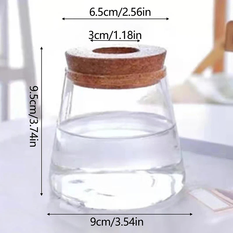 Mini vaso de flores hidropônico, terrário transparente de vidro sem solo, vaso de plantas verdes, jardim, sala de estar, casa, decorações de mesa