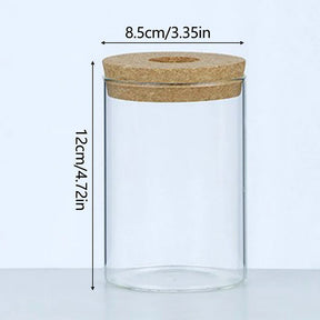 Vaso Hidropônico de Vidro para Decoração