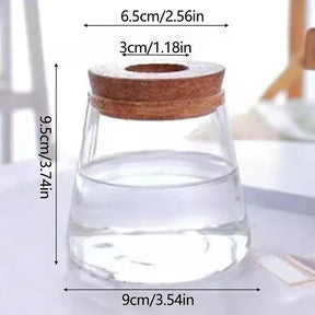 Vaso Hidropônico de Vidro para Decoração